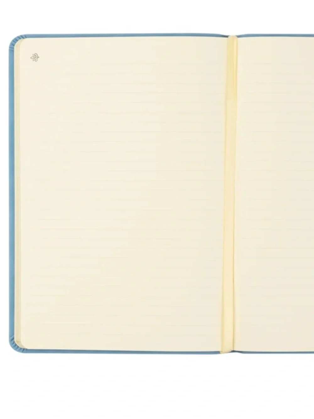 HOSANNA REVIVAL NOTEBOOK: BETHANY THEME